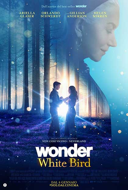 Wonder - White bird